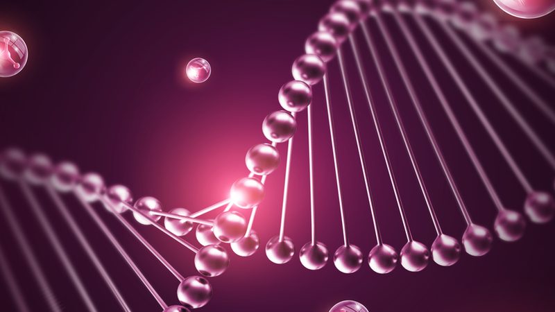 抗体产品质检报告费用揭秘：影响价格的关键因素