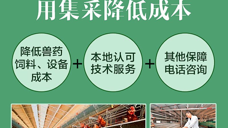 微量离心管0.5ml：揭秘实验室中的“隐形英雄”**