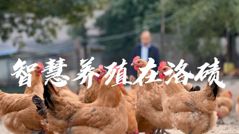 生物科技公司行业标准最新版本：合规与创新并行