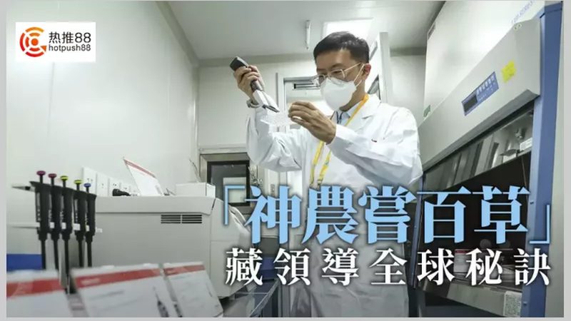复合酶定制与普通酶：解析两者之间的关键差异**
