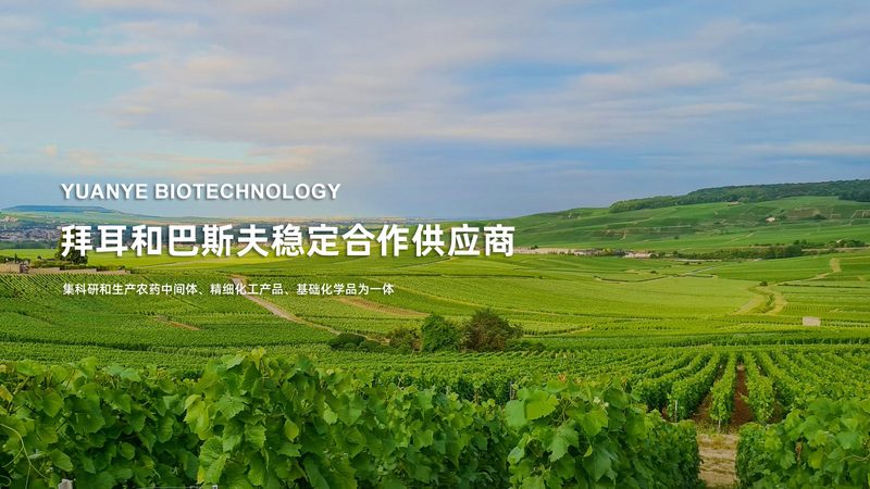 基因测序代理授权，选错了比不选更麻烦