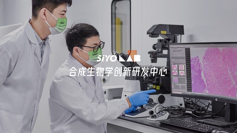 揭秘生物实验室装修：分项报价背后的关键要素