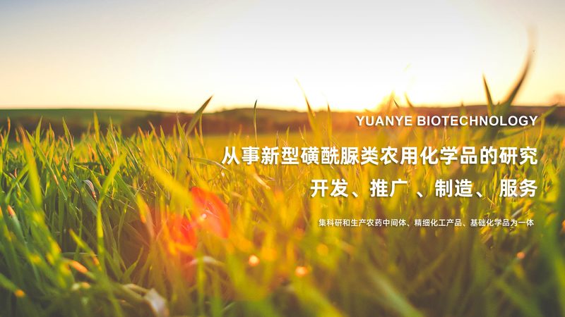 生物医药外包成本核算系统