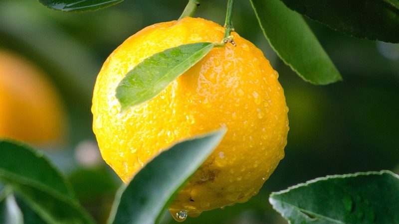 生物科技产品加盟：揭秘潜在风险与关键考量**