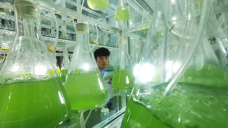 上海生物医药CRO公司排名：揭秘行业实力与选择标准